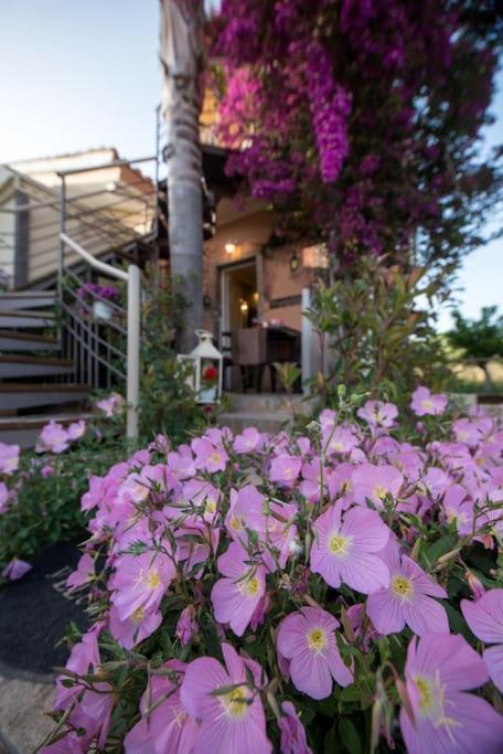 Bougainvillea House 1 Kalamata Extérieur photo